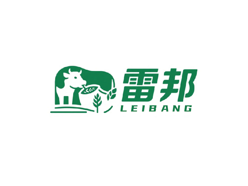 秦光華的雷邦logo設(shè)計